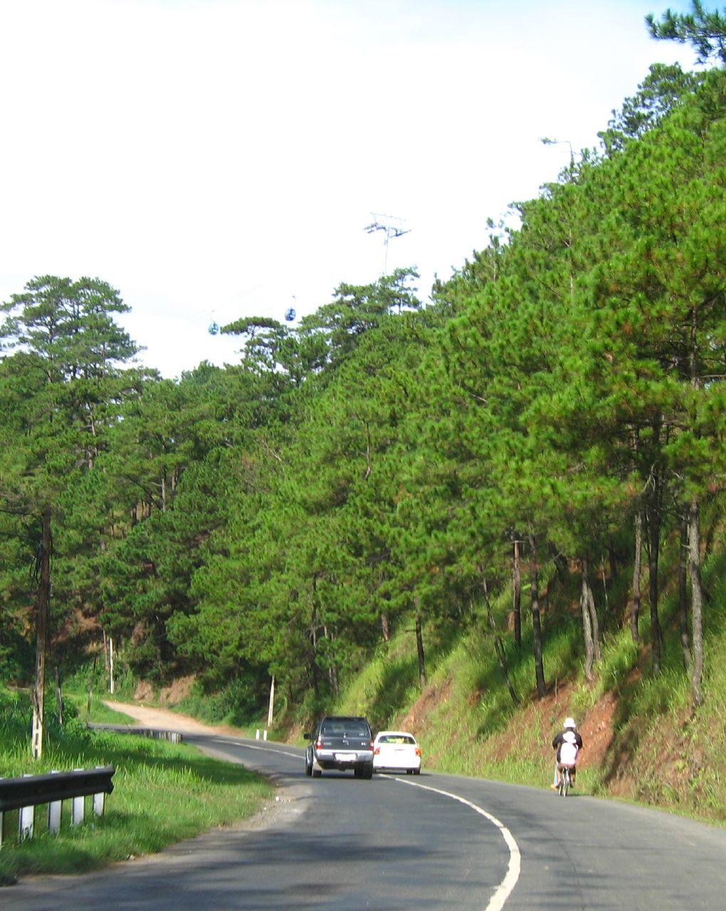 a car on a road that has pine trees and grass on the sides