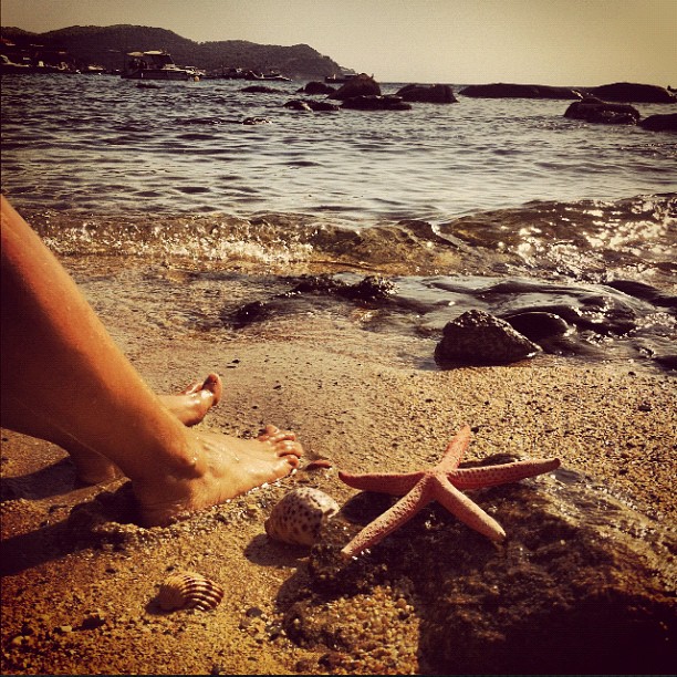 a pair of barefoot hands are walking towards a starfish on the beach
