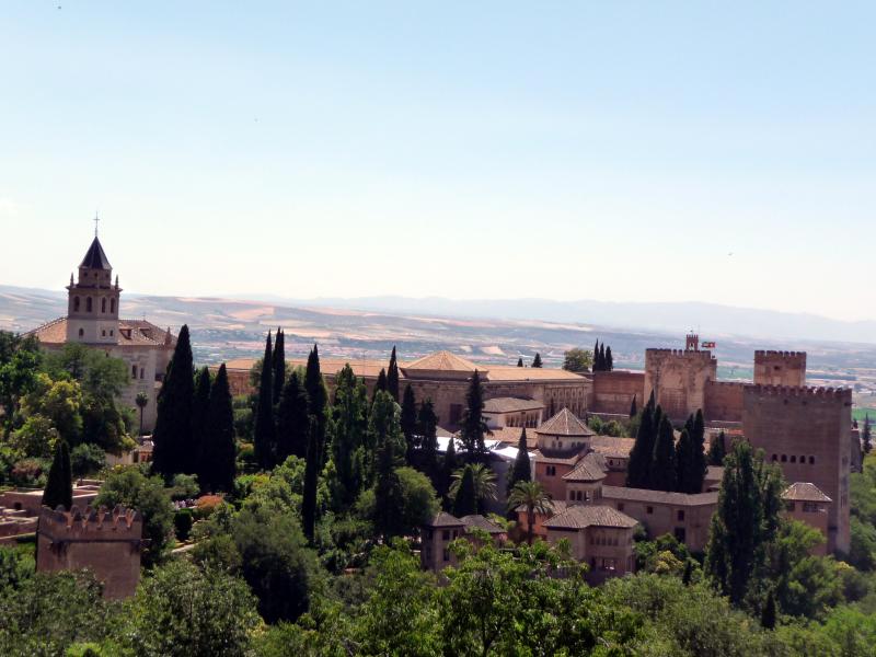 a city with trees, bushes and buildings