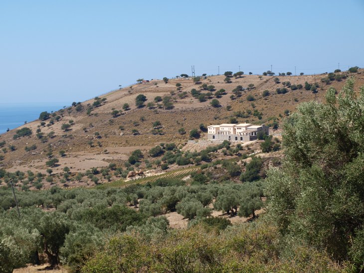 a hill with a building on the top that is surrounded by olive trees