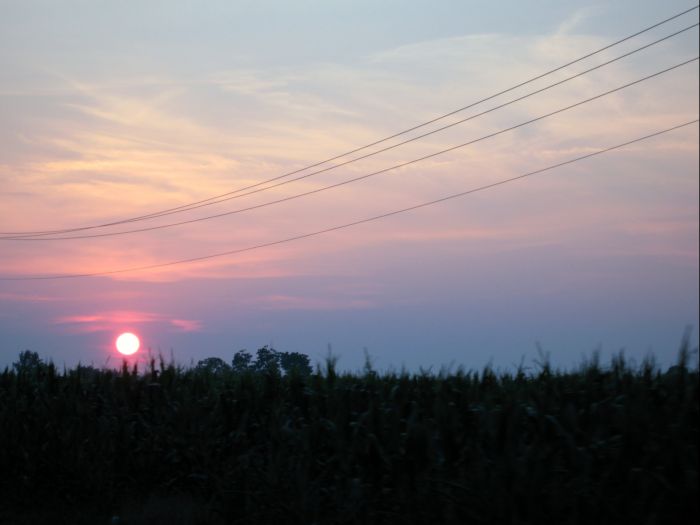 a field with power lines at sunset in the distance