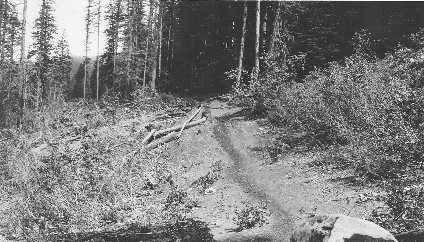 a trail in a rocky area that looks to be being cleared off