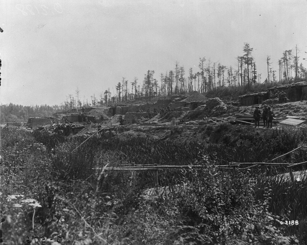 black and white pograph of trees in a mountainous area