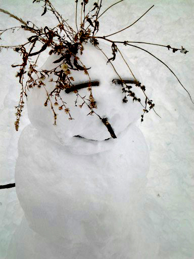 a snowman with plants on it has an unhappy expression