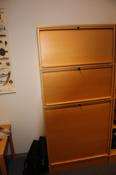a filing cabinet in an office is in a corner