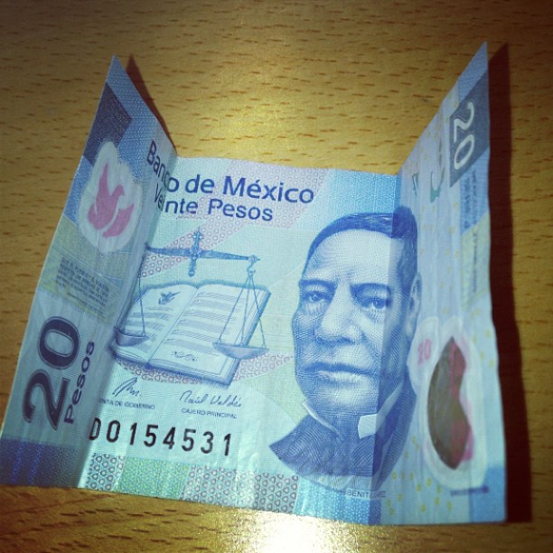 a close up of an folding dollar bill