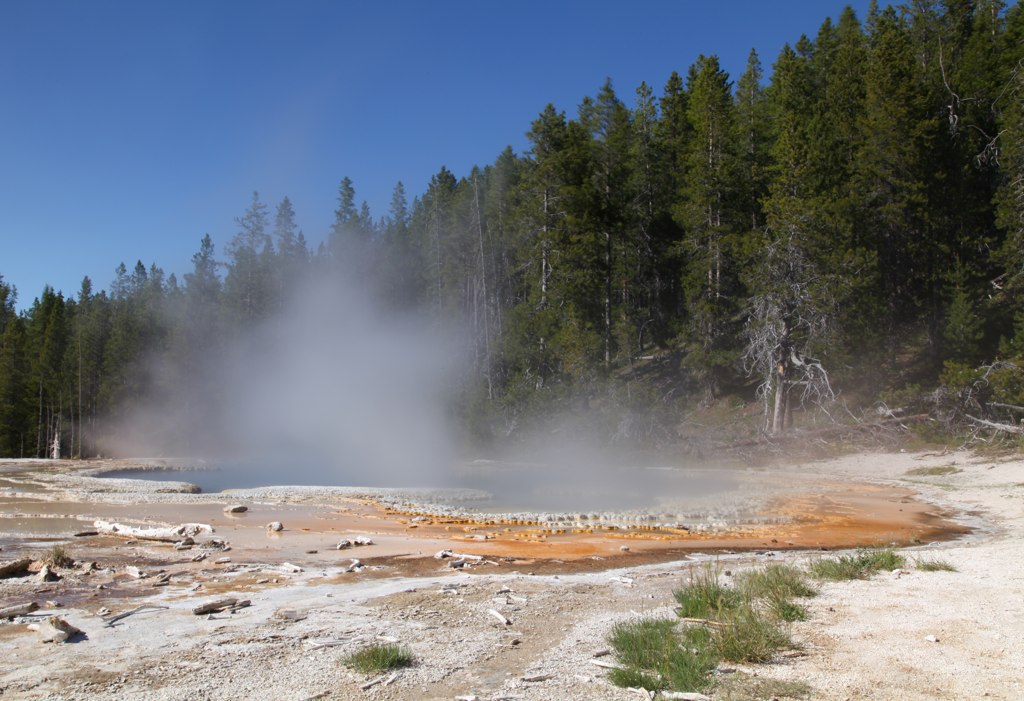 a steaming geyser sits on the edge of a wooded area
