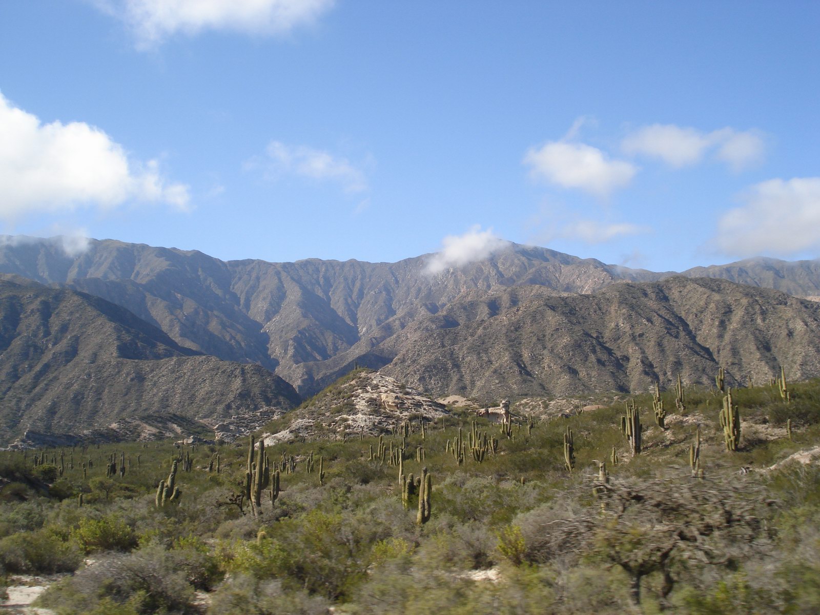 the mountains are covered with greenery, and some trees