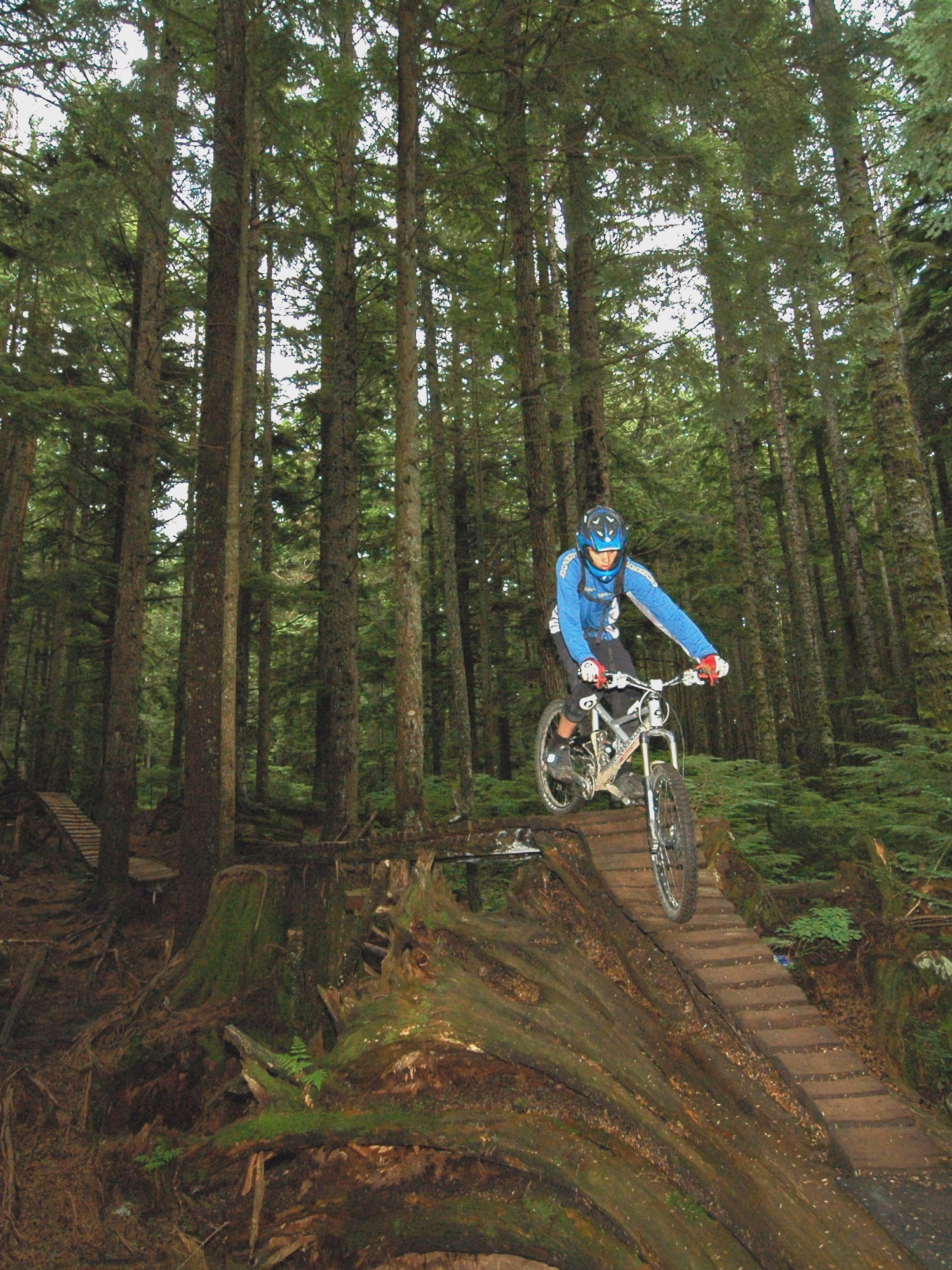 a man riding a bike down a wooden stairway in the woods