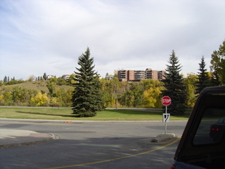 a stop sign and a street scene with some cars