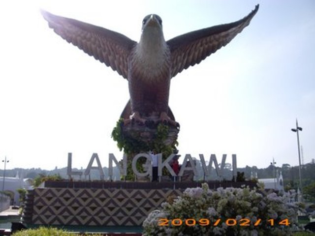 a giant bird statue on the corner of a road