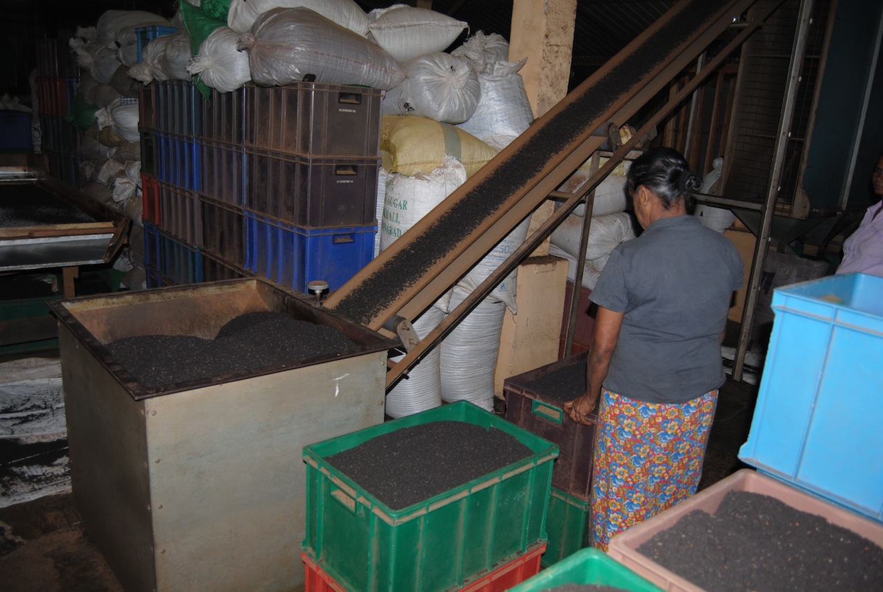 an old lady working in a large pile of bags