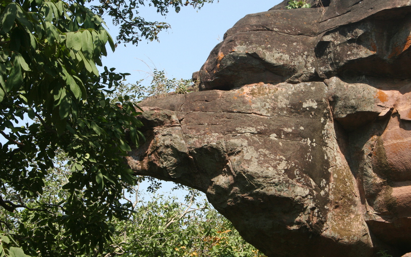 an elephant in front of large rocks in the forest