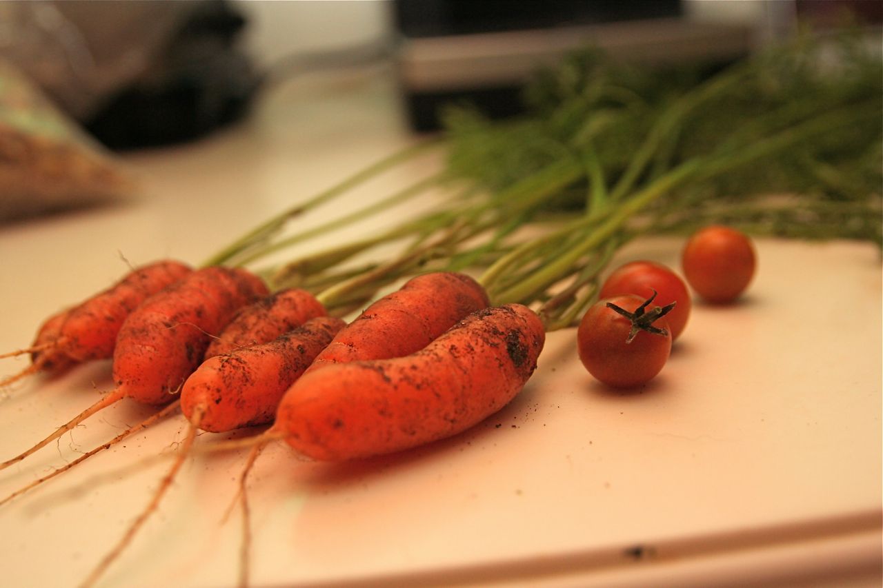 carrots and tomatoes on a counter top