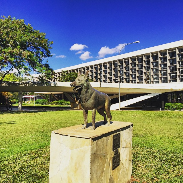 a sculpture of a dog is on a pedestal in the grass