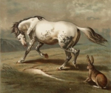 a horse running while another runs behind him