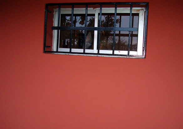 a red wall with a window and a white cat on the floor