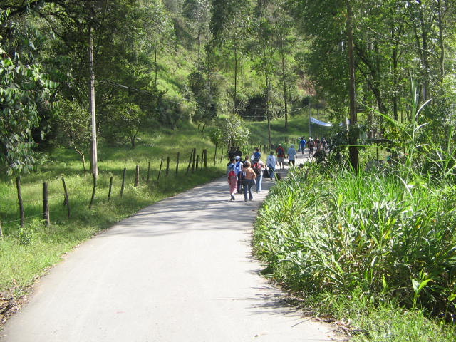 people walking down a country road in a lush green forest