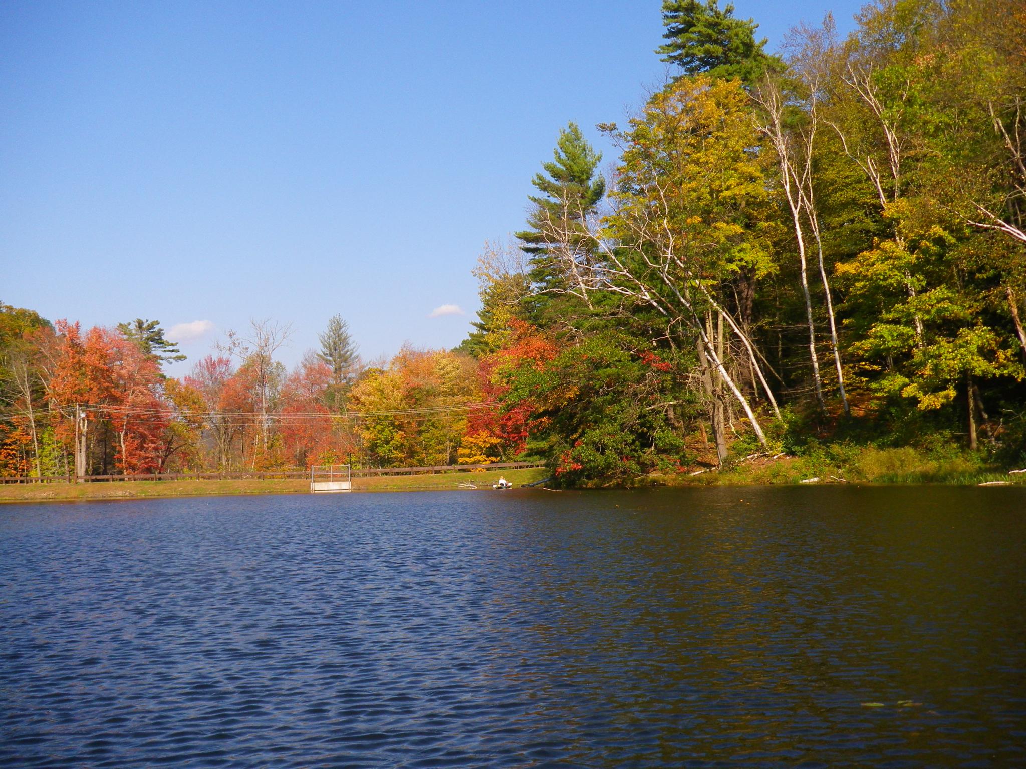 the water is reflecting bright autumn foliage on the other side of the road