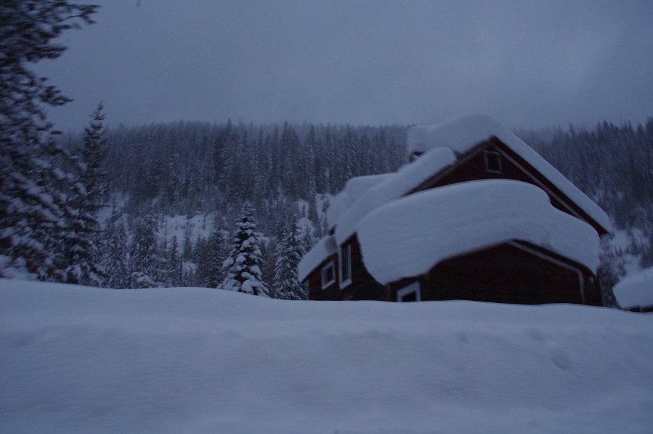 some snow trees and some houses in the middle