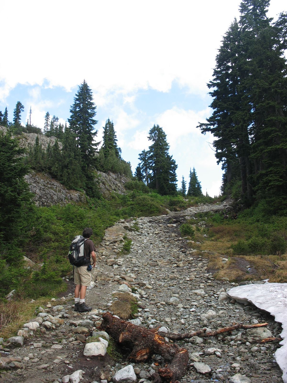 a hiker walking up the rocky path towards the woods