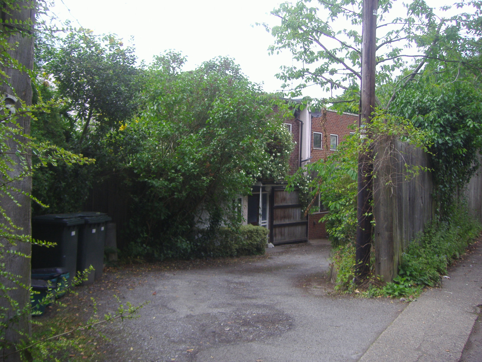 a po of a driveway with a trash can, building and tree