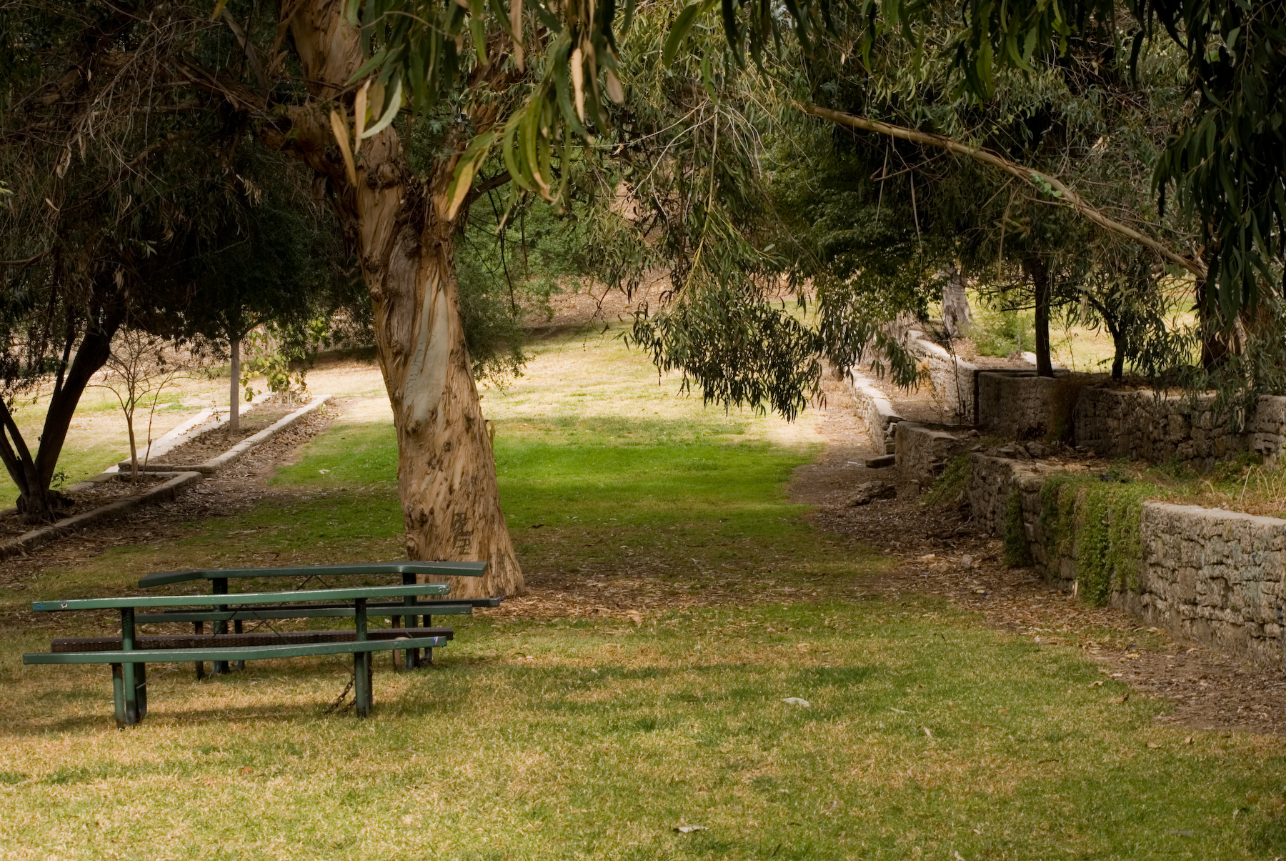 a park bench near a small road and tree