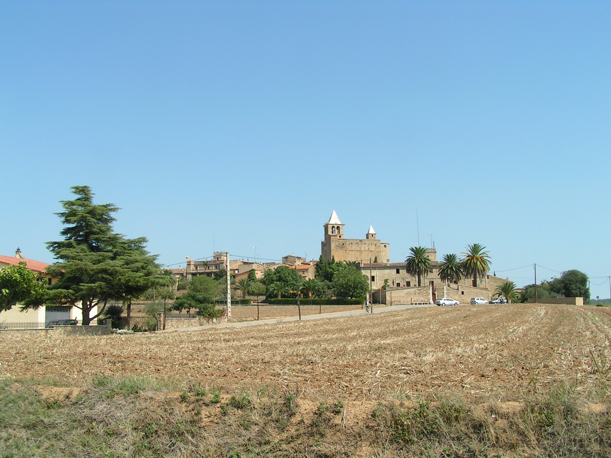 the grass is brown with many trees around it