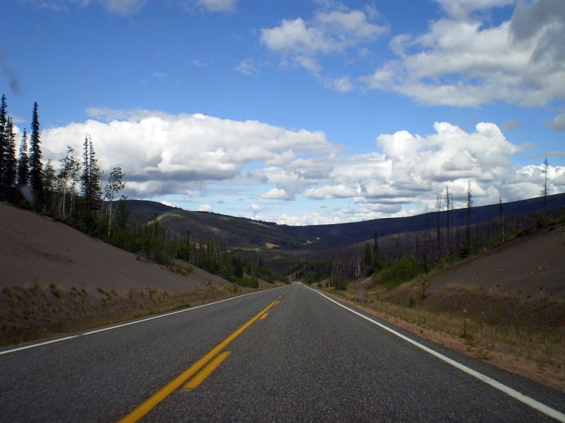 the highway winds through an area with many trees and bushes