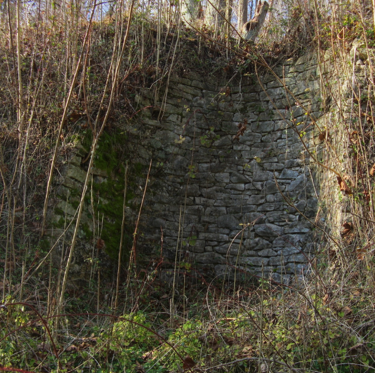 a stone structure overgrown by grass in an abandoned forest
