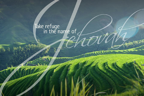 a large green hillside with the words let the nature in the name of jesus