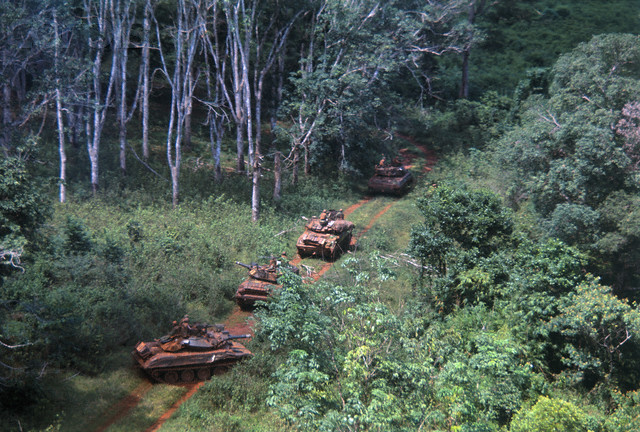 a line of military vehicles that are in the woods
