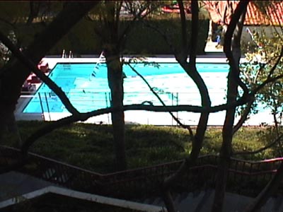 the top view of an outdoor swimming pool surrounded by trees