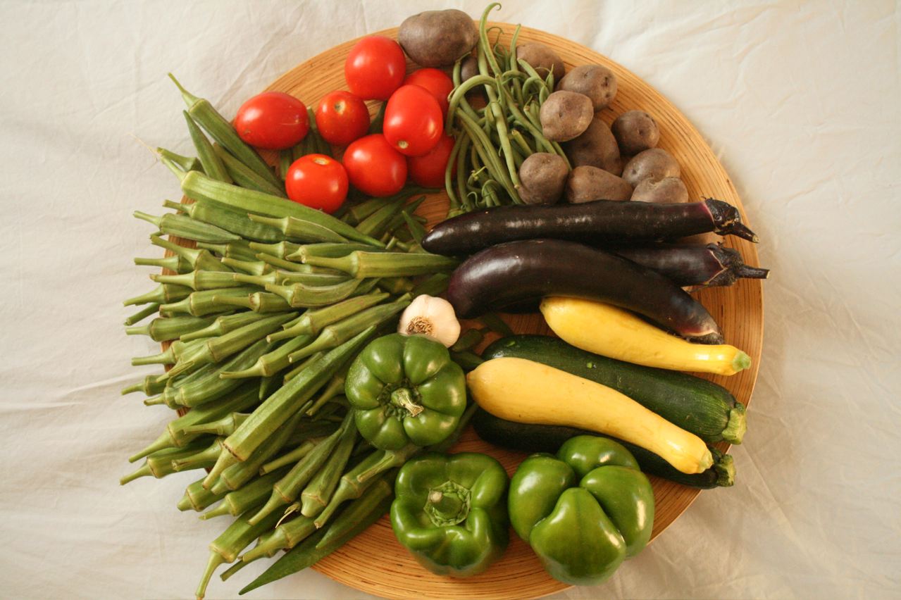 a plate full of various types of vegetables