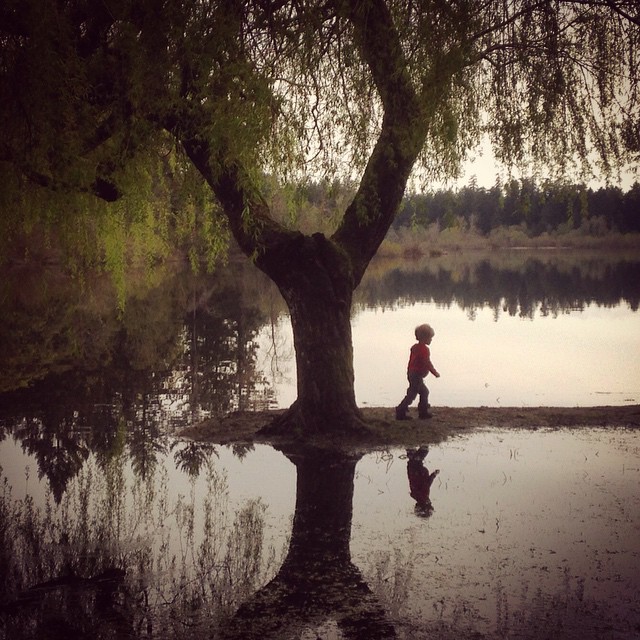  walking alone in front of a tree near a lake