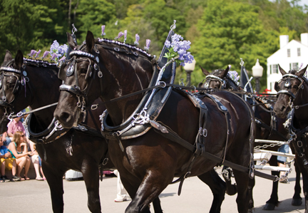 a group of horses pulling a carriage with people on it