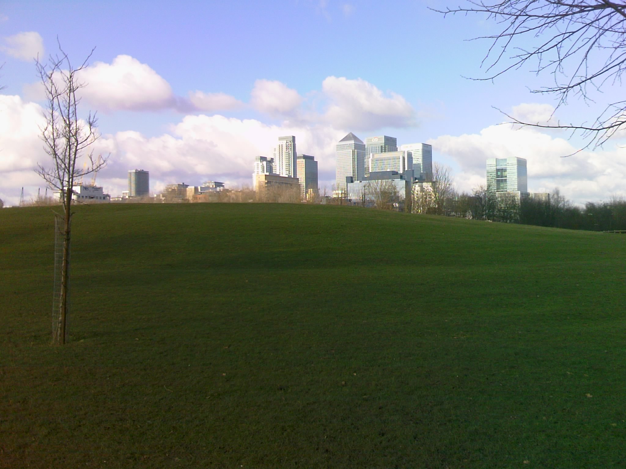 a very green field with some very tall buildings in the background