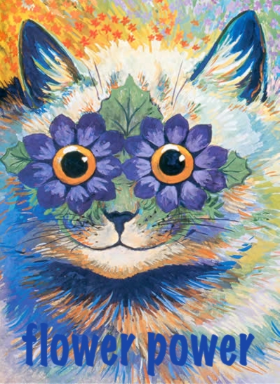 an orange cat with flower power eyes, and the caption is below