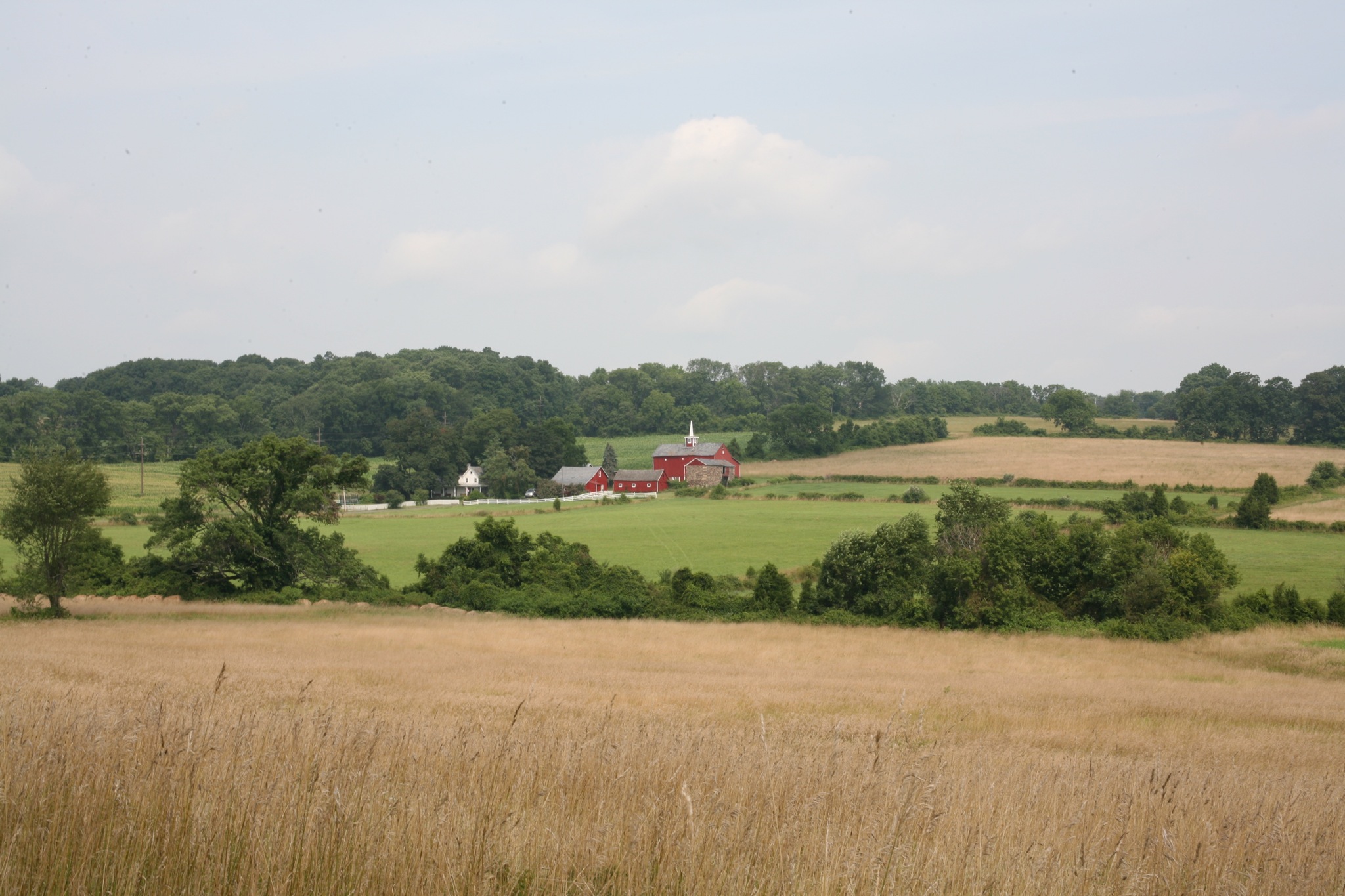 an expansive farm with trees, pasture, and houses in the background