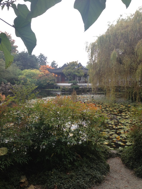 water lillies and lily pads surround an ornamental pond