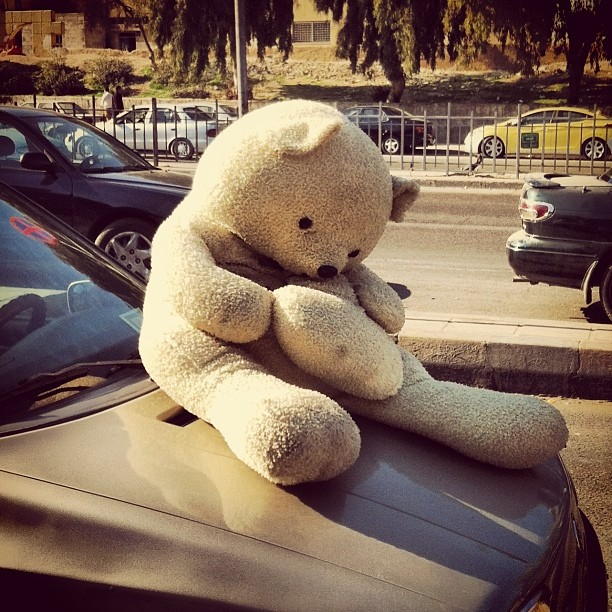 a large white stuffed teddy bear sits on top of a car