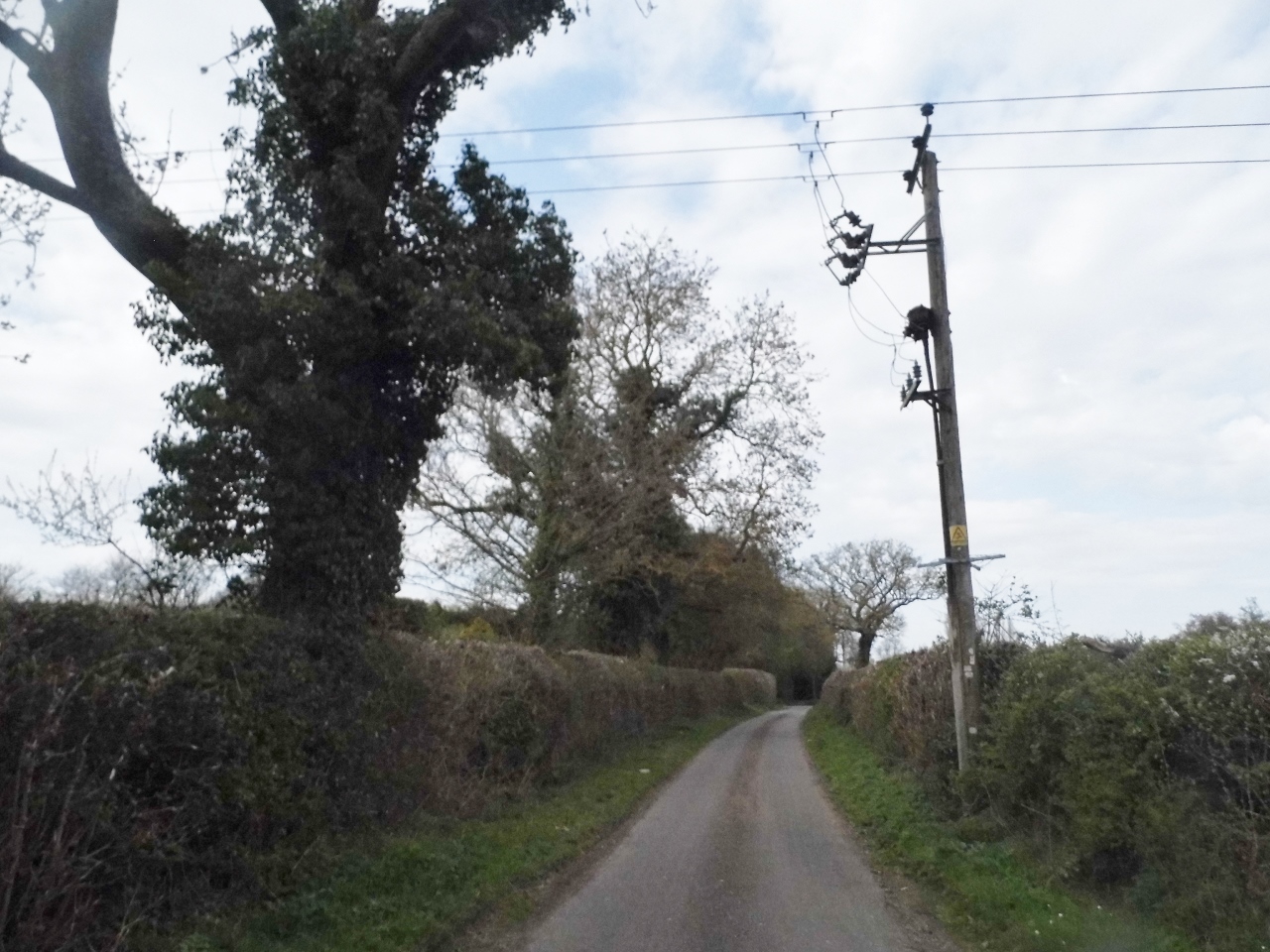 the view of a rural road through tall grass