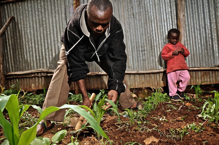 a man and girl are working together in the garden