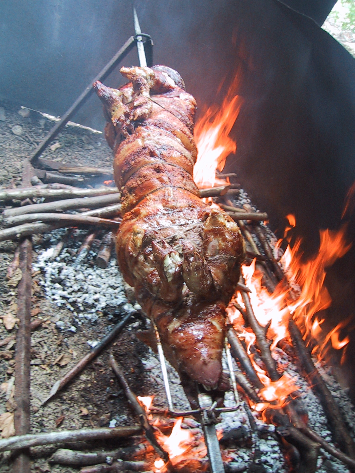 a  dog being cooked on top of a bbq