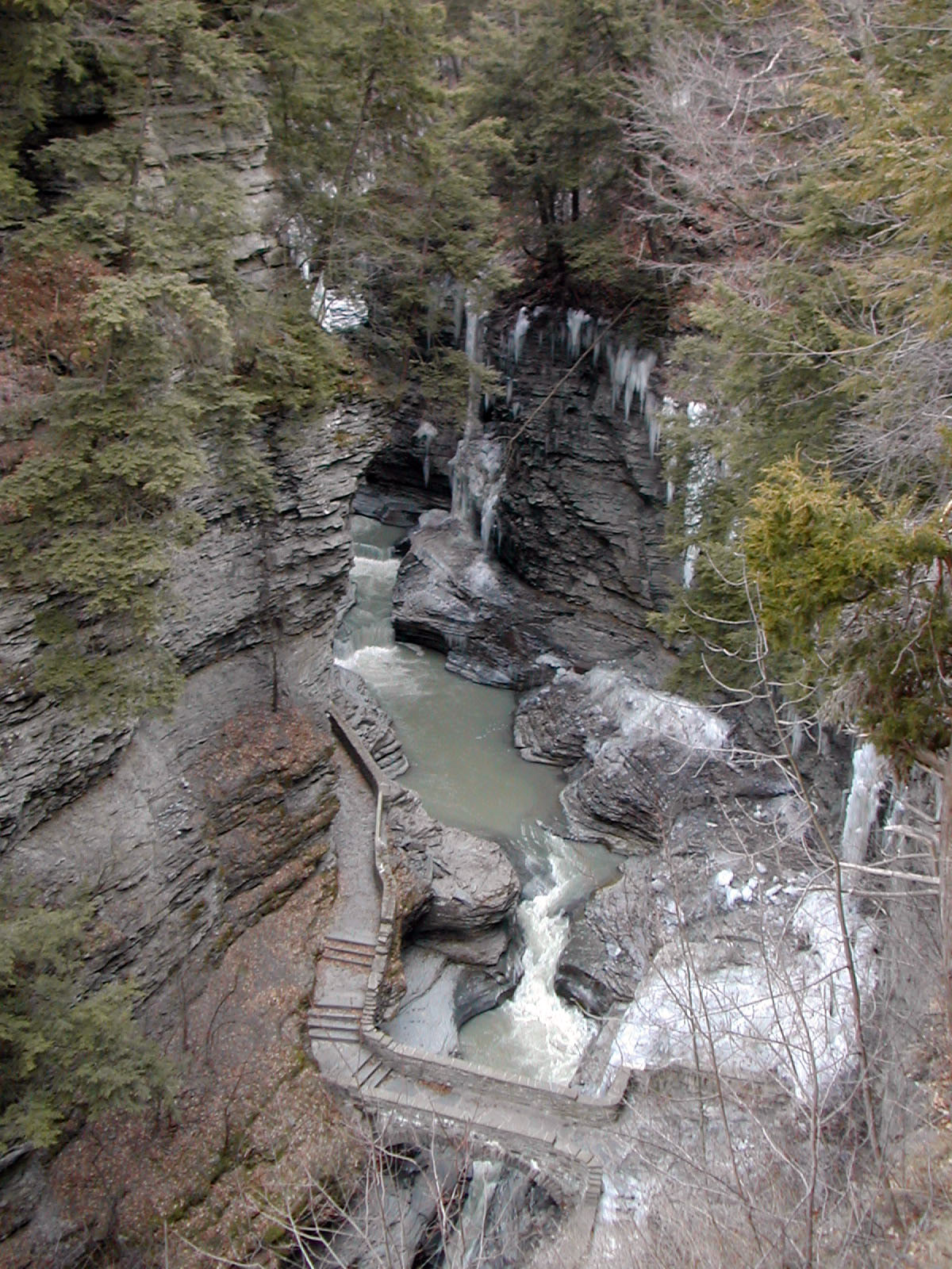 an aerial view of a river running through a forest