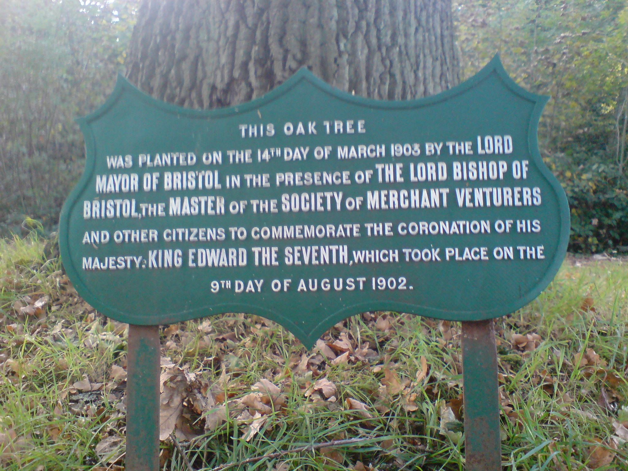 a green sign in front of a tree with some writing on it