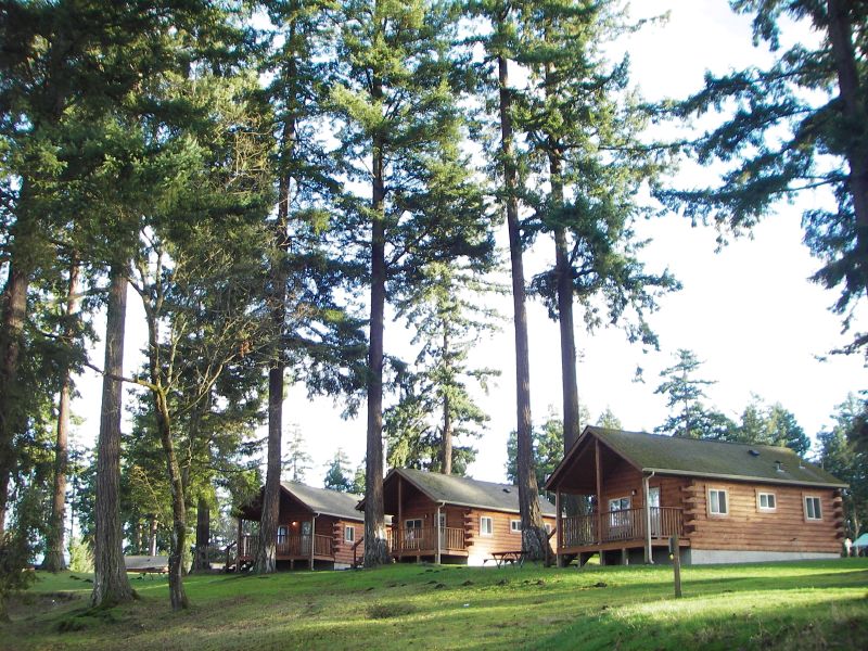 the cabins are nestled in the woods near many trees