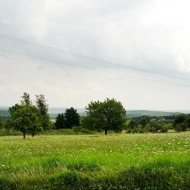 a lush green field is shown under clouds
