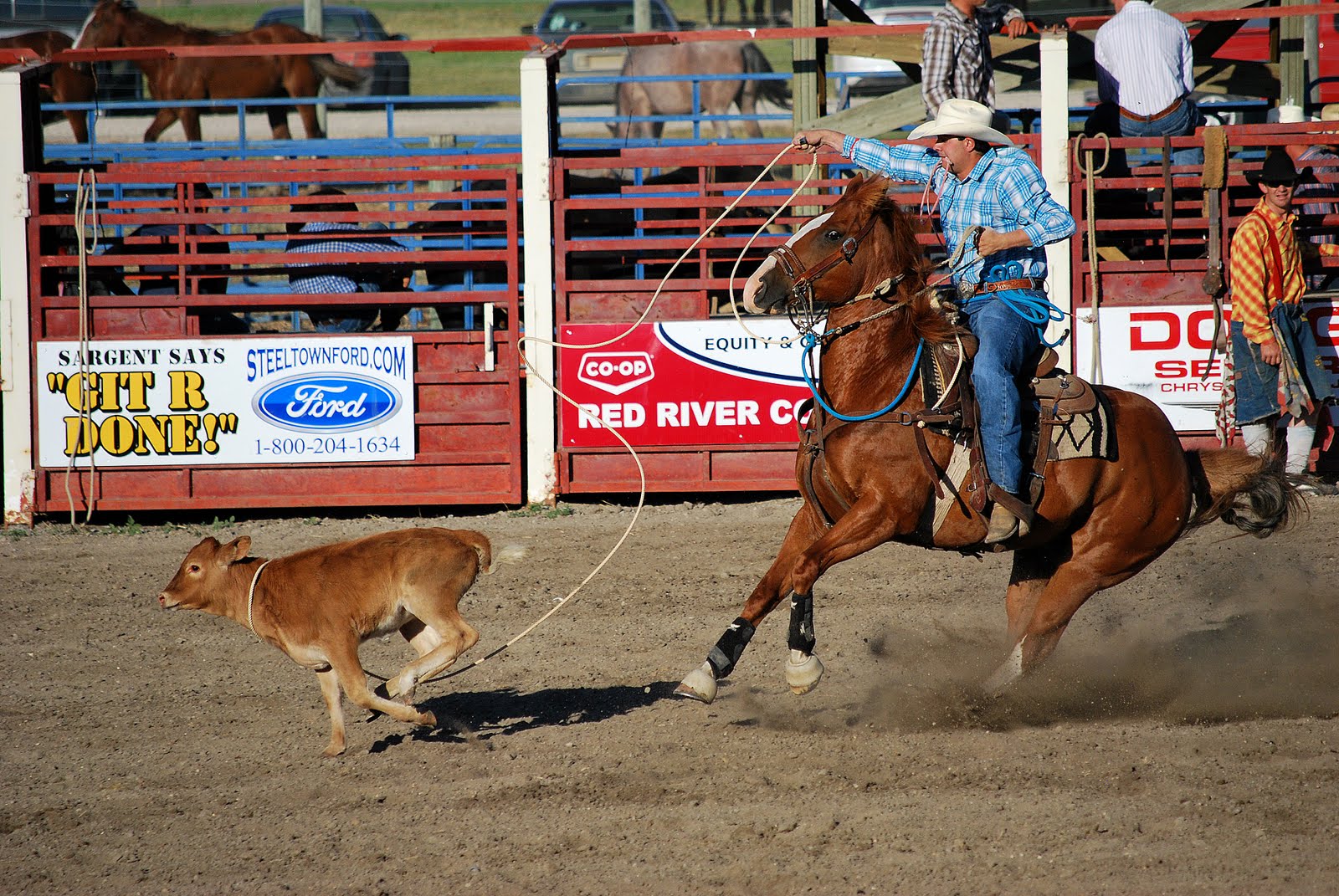 a man on a horse with a lasso rope is throwing at a cow