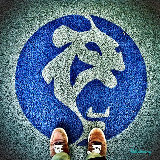 a persons feet standing in front of the logo of the organization of sports clubs